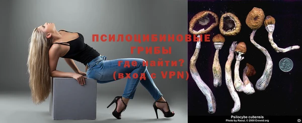 apvp Алексин