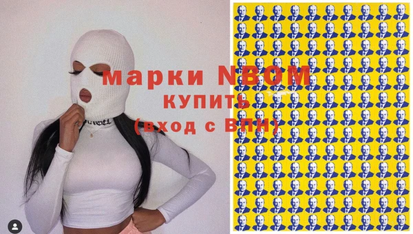 apvp Алексин